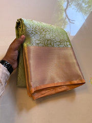 Vriksham Pista Tanchoi Tissue Silk Saree-VS4488