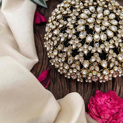 Vriksham Royal White Stone & Pearl Leaf Pattern Juda Net With Hair Bun Cage Accessory-BH1266