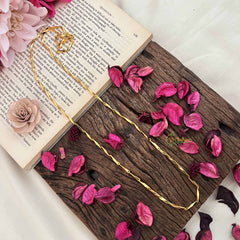 Vriksham Minimalist and Elegant Plated Daily Wear Chain-G20029