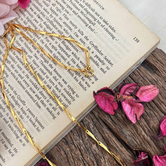 Vriksham Minimalist and Elegant Plated Daily Wear Chain-G20029