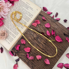 Vriksham Stylish Gold-Toned Long Chain for Daily Wear Chain-G20027