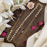 Vriksham Elegant Gold Look Alike AD Stone Thin Hipchain-Red-G17155