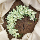 Vriksham Off White With Green Shaded Veni with Gold Beads-Flower Accessory-H878