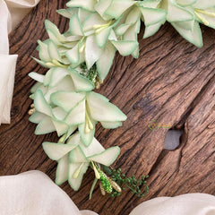 Vriksham Off White With Green Shaded Veni with Gold Beads-Flower Accessory-H878