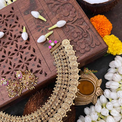 Vriksham Elegant Gold Look Lakshmi Coin Short Neckpiece-G21509