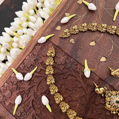 Vriksham Classic Peacock & Floral Gold Bead & Green Red Accents Long Neckpiece-G21497