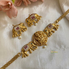 Premium Lakshmi Hatti High Choker Neckpiece-G12179