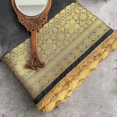 Vriksham Janhvi Kapoor Grey Organza Saree-Aari Work Border-Handloom-VS4228