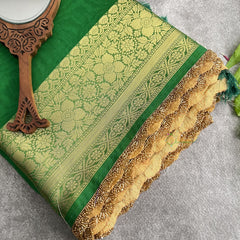 Vriksham Janhvi Kapoor Green Organza Saree-Aari Work Border-Handloom-VS4223