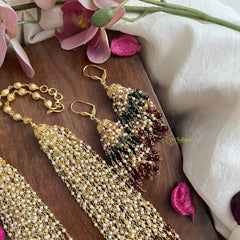 Vriksham Rajvika Multicolor Beaded Pearl With Earrings Traditional 25 Layered Beaded Mala Set-G20112
