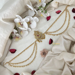 Vriksham Chand Bali Style Jada Bun Billai With Gold Maatil Bridal Jada Billai-G19297