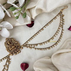 Vriksham Lakshmi Inspired Jada Billai With Gold Maatil Bridal Jada Billai-G19298