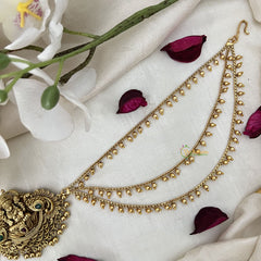 Vriksham Traditional Lakshmi Jada Billai With Gold Maatil Bridal Jada Billai-G19302