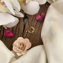 Vriksham Unique Gold Naths/Nose pin-Red-G17519