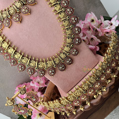 Vriksham Premium American Diamond Annam with Coin Bridal Set-G18659