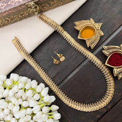 Vriksham Minimalist Temple Style Kasulaperu Long Neckpiece-G22425