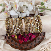 Vriksham Elegant Champagne & White Stone Silk Bangles Set-G21708