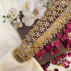 Vriksham Exquisite AD Stone Hipbelt-G17647