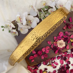 Vriksham Exquisite AD Stone Hipbelt-G17647