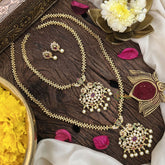 Vriksham Designer Combo Diamond Neckpiece-Red White-G18863