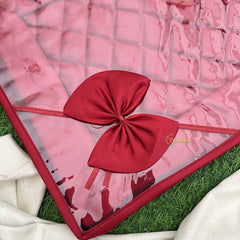 Return Gift Transparent Orgainser Saree Cover with Zipper & Bow-5 Inch-RG332