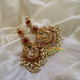 Premium AD Stone Danglers - G10416