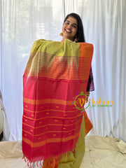 Light Pista Green Chinnalampattu Saree-VS566