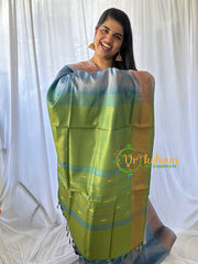 Steel Blue Grey Chinnalampattu Saree-VS575