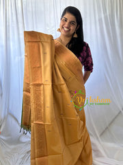 Beige Chinnalampattu Saree-VS579