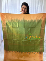 Beige Chinnalampattu Saree-VS579