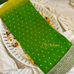 Light Green Yellow Fancy Chiffon Saree -VS1841