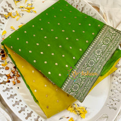 Light Green Yellow Fancy Chiffon Saree -VS1841