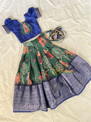 Blue Green Pichwai Indian Traditional Girls Lehenga-VS1817