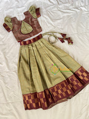 Pista Green and Maroon Pichwai Indian Traditional Girls Lehenga-VS1816