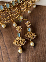 AD stone and Blue Stone Choker -G2103