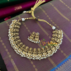 Light Brown with Blue Handloom Silk Cotton Saree-VS136