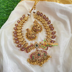 Gold Look Alike Short Neckpiece-Peacock-Gold Bead-G5463