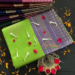 Light Green Saree with Blue Border- Litchi Silk Saree -VS013