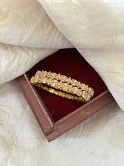 Premium American Diamond Bangle Set -Yellow-G11064