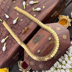 Vriksham Classic Gold Doted Look Lakshmi Coin Kasu Mala Long Neckpiece-G21514