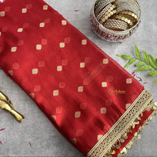 Vriksham Red With Lace & Coin Tassel Organza Saree-Handloom-VS4247