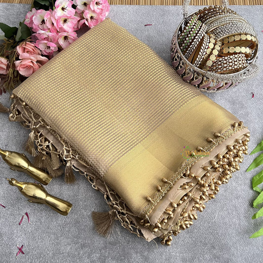 Vriksham Nayanthara Inspired Light Gold Organza Saree-Handloom-VS4255