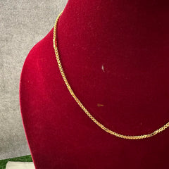 Elegant Gold Look Alike Daily Wear Chain-G13240