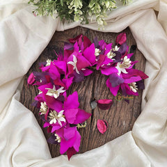Vriksham Artificial Magenta & Purple Floral Gajra Fabric Flower Gajra With Pearl Buds Flower Accessories-H1151