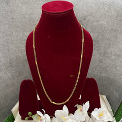 Elegant Gold Look Alike Daily Wear Chain-G13208