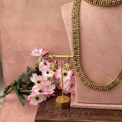 Vriksham Classic Look Gold Plated Traditional South Indian Kasu Mala Bridal Set-G21062