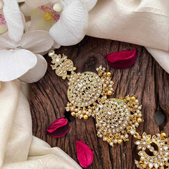 Vriksham Royal South Indian 5 Segment Bridal Elaborate Circular Medallions Jadai Billai-Red-Pearls-G21689