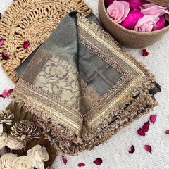 Vriksham  Janhvi Kapoor Grey Organza Saree-Lace Border-Handloom--VS5021