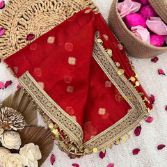 Vriksham  Red With Lace & Coin Tassel Organza Saree-Handloom-VS5020