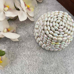 Vriksham Celestial Shimmer Ivory Round Clutch Style With Hair Bun Cage Accessory-H1303